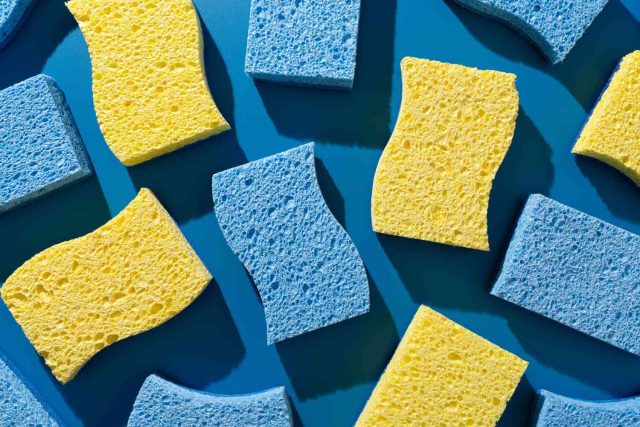 esponja esponja